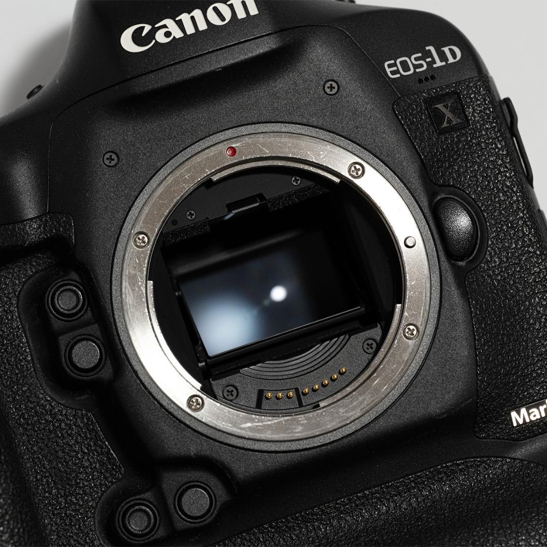 Canon EOS 1DX Mark II バッテリーx2、CFカード付属