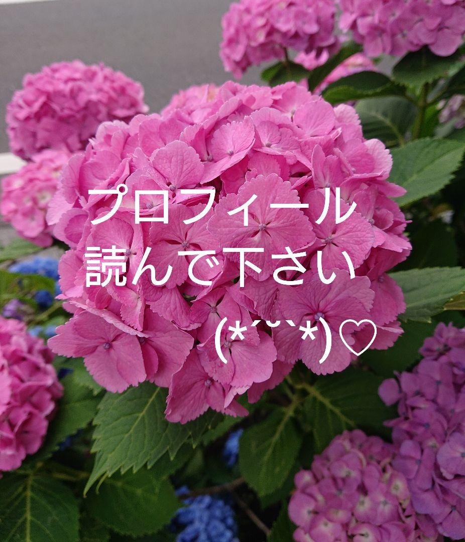 残2★鈴富製菓 人形焼き 10個入り