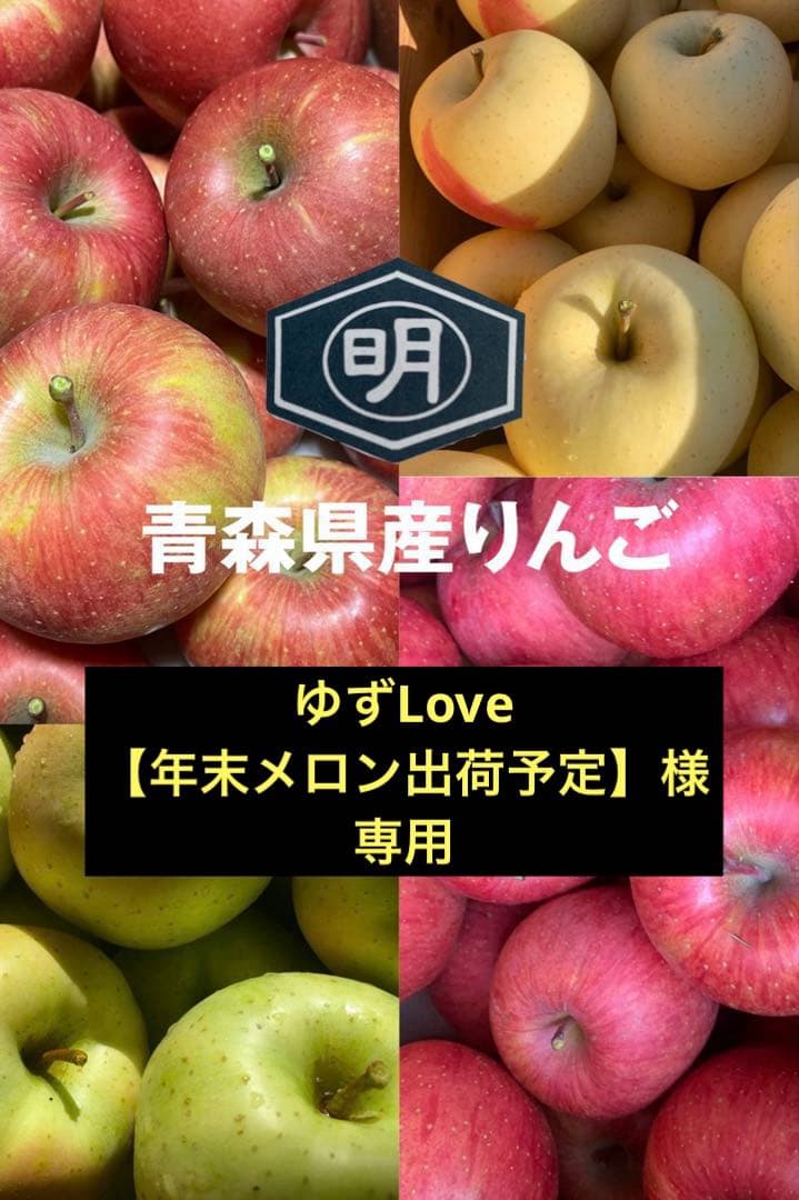 青森県産りんご【ミックス】670傷なし青林5kg.黄金ふじ5kg 10kg 専用