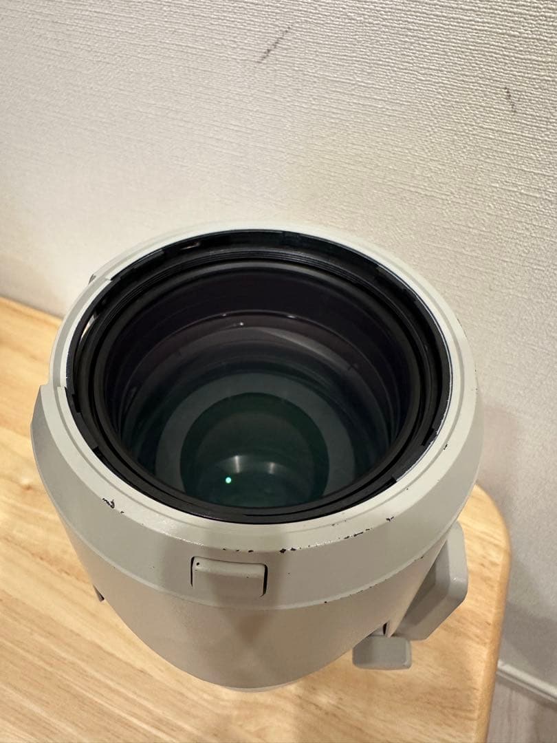 レンズ(ズーム) FE 70-200mm F2.8 GM OSS