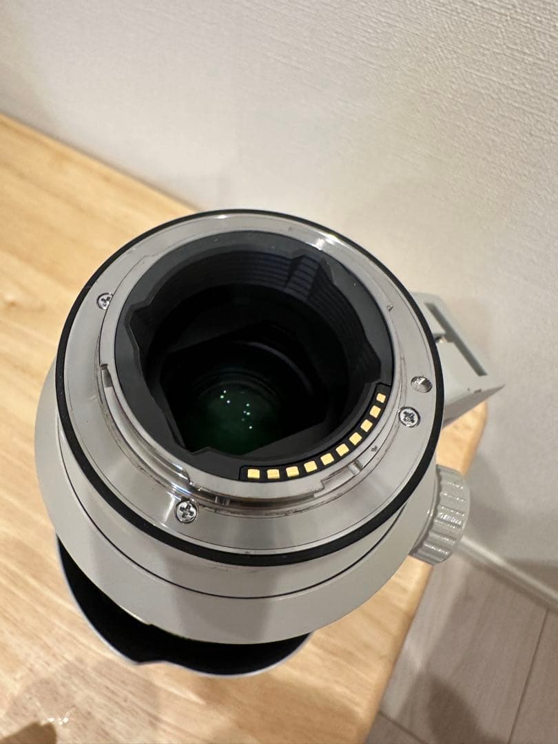 レンズ(ズーム) FE 70-200mm F2.8 GM OSS