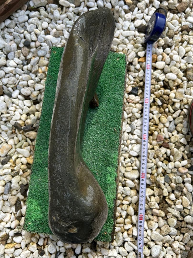 銘石 加茂川『真黒石』(溜まり石)