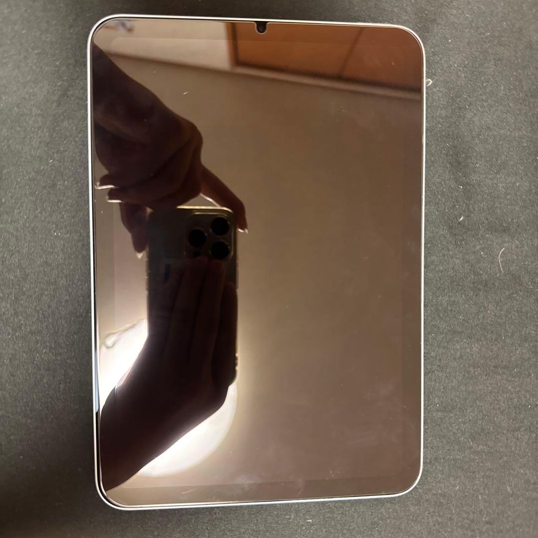 Apple iPad mini A17pro本体