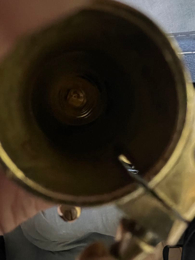 Max Toneアルトケースネックストラップリガチャーリード付Rapsag