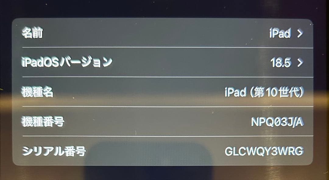 iPad 第10世代 シルバー