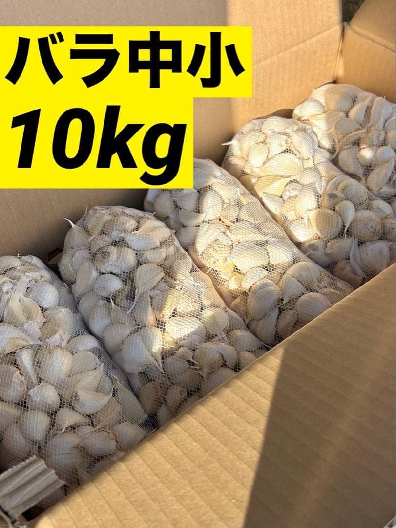 【早い者勝ち】青森県産 にんにく バラ中小10kg 福地ホワイト激安