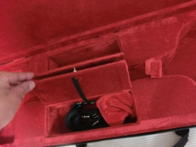 良質な沖縄三線用セミハードケース　持ち運び便利な上等ケース　新品未使用　送料無料