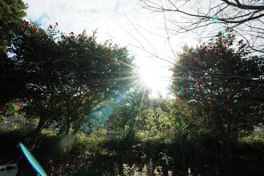 【未使用級美品】 SEL1635GM SONY 超広角F2.8 付属品完備