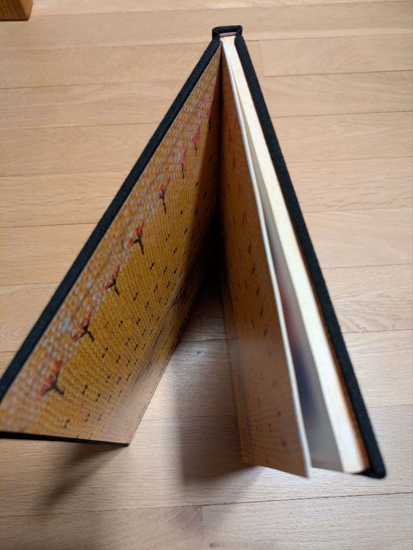 森麗子作品集★糸の季節★美品★希少