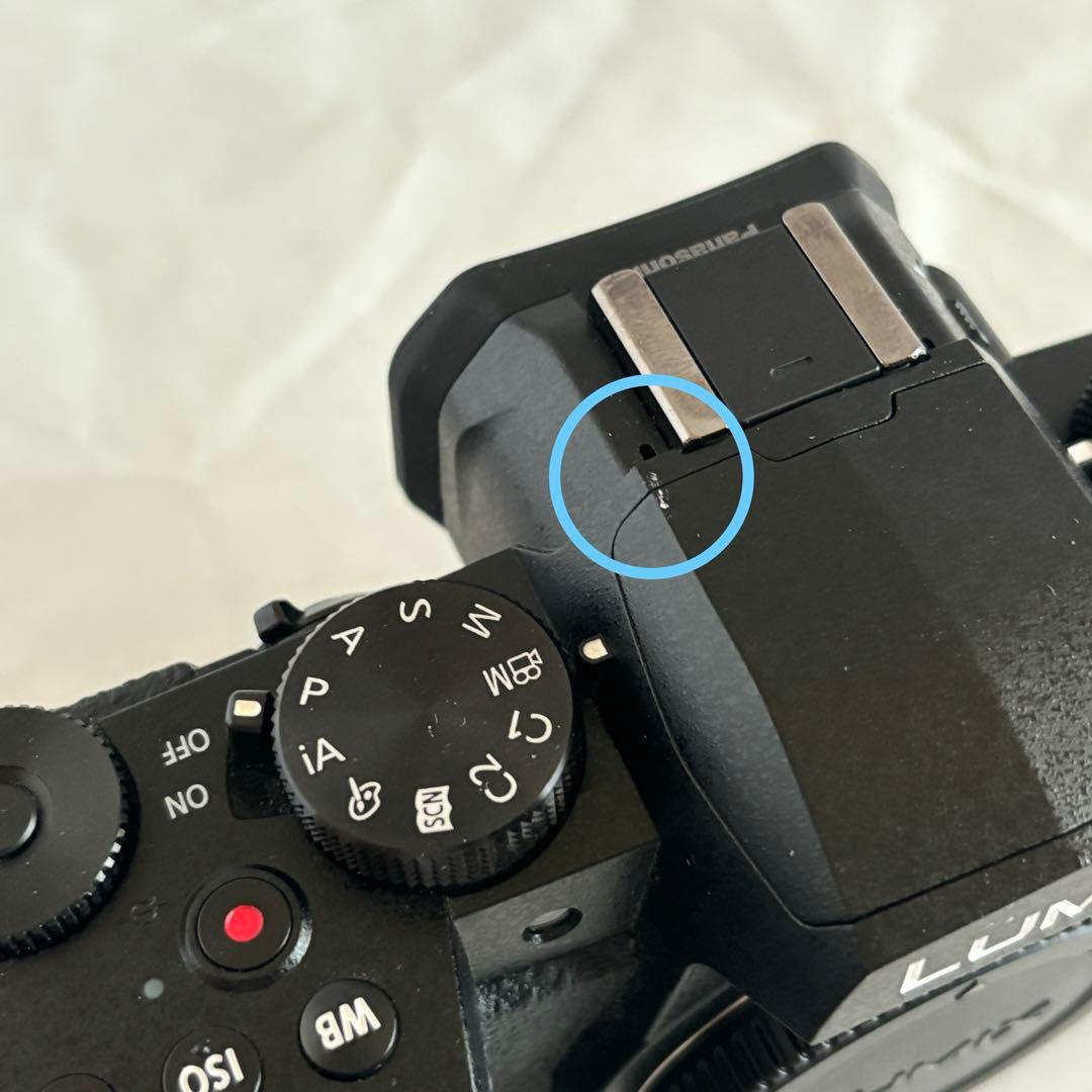 Panasonic LUMIX 一眼カメラ DC-G99