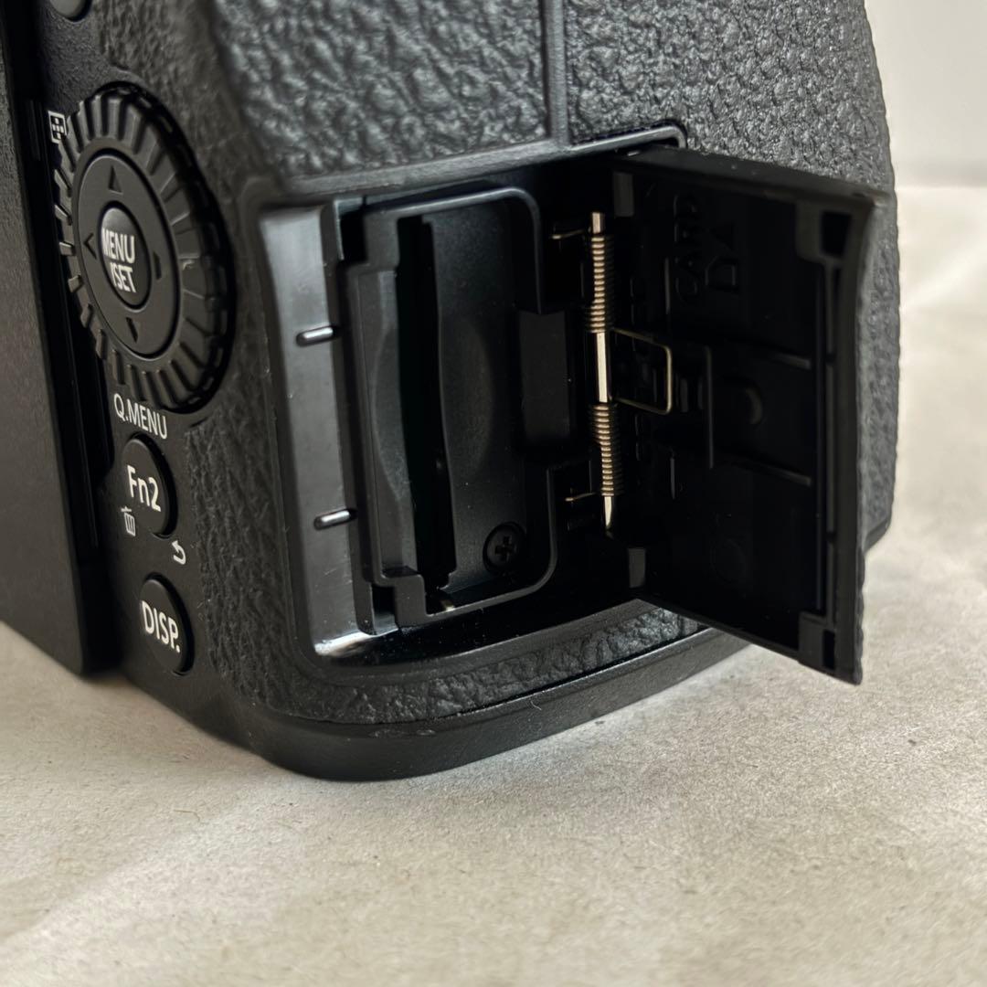 Panasonic LUMIX 一眼カメラ DC-G99