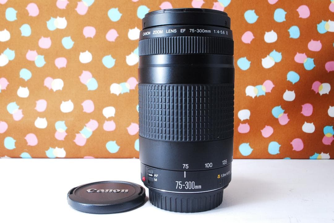 ✨人気の望遠レンズ✨Canon EF 75-300mm F4-5.6 Ⅱ