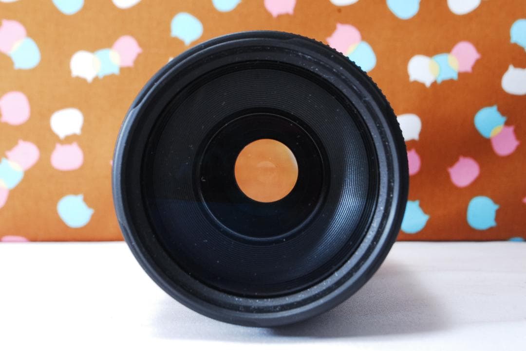 ✨人気の望遠レンズ✨Canon EF 75-300mm F4-5.6 Ⅱ