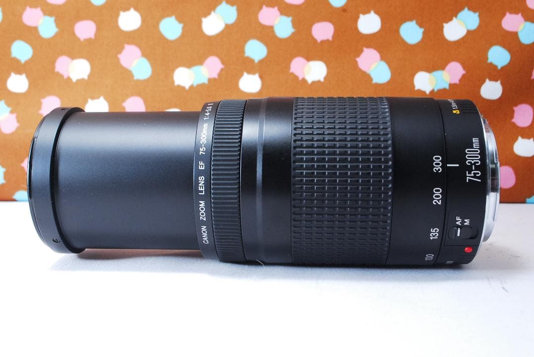 ✨人気の望遠レンズ✨Canon EF 75-300mm F4-5.6 Ⅱ