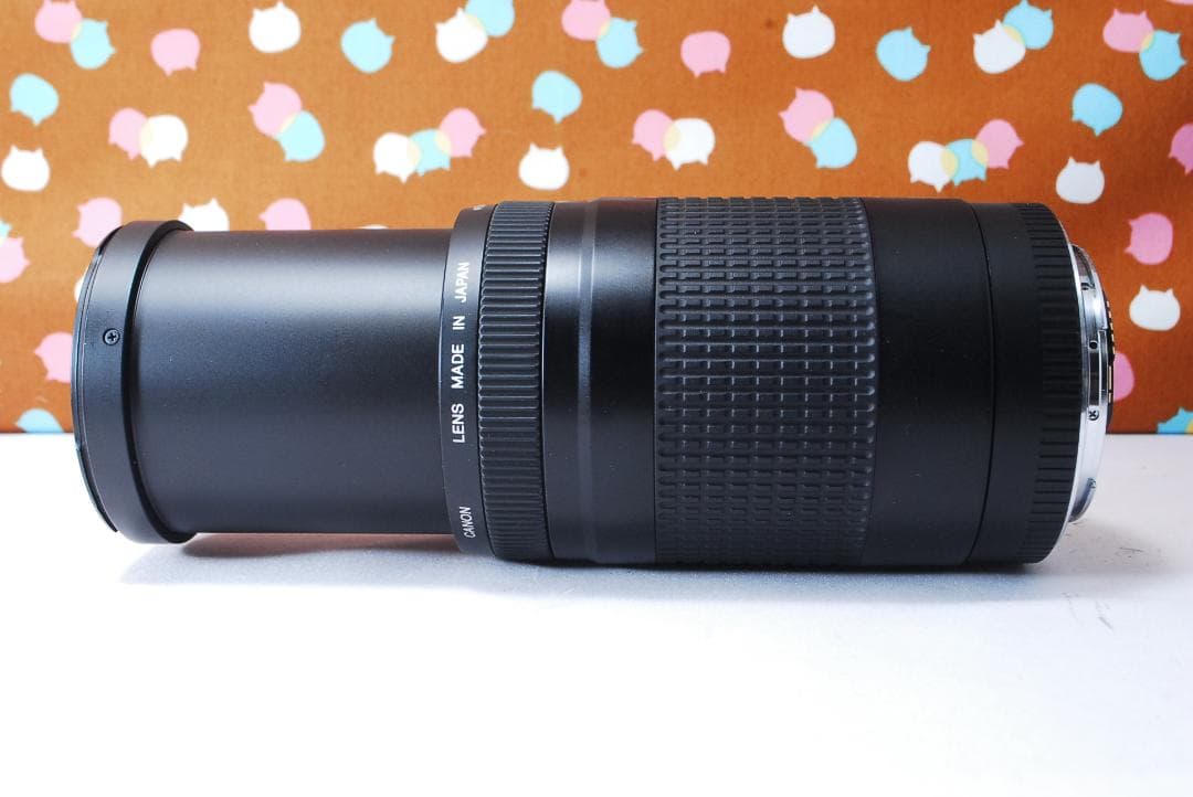 ✨人気の望遠レンズ✨Canon EF 75-300mm F4-5.6 Ⅱ