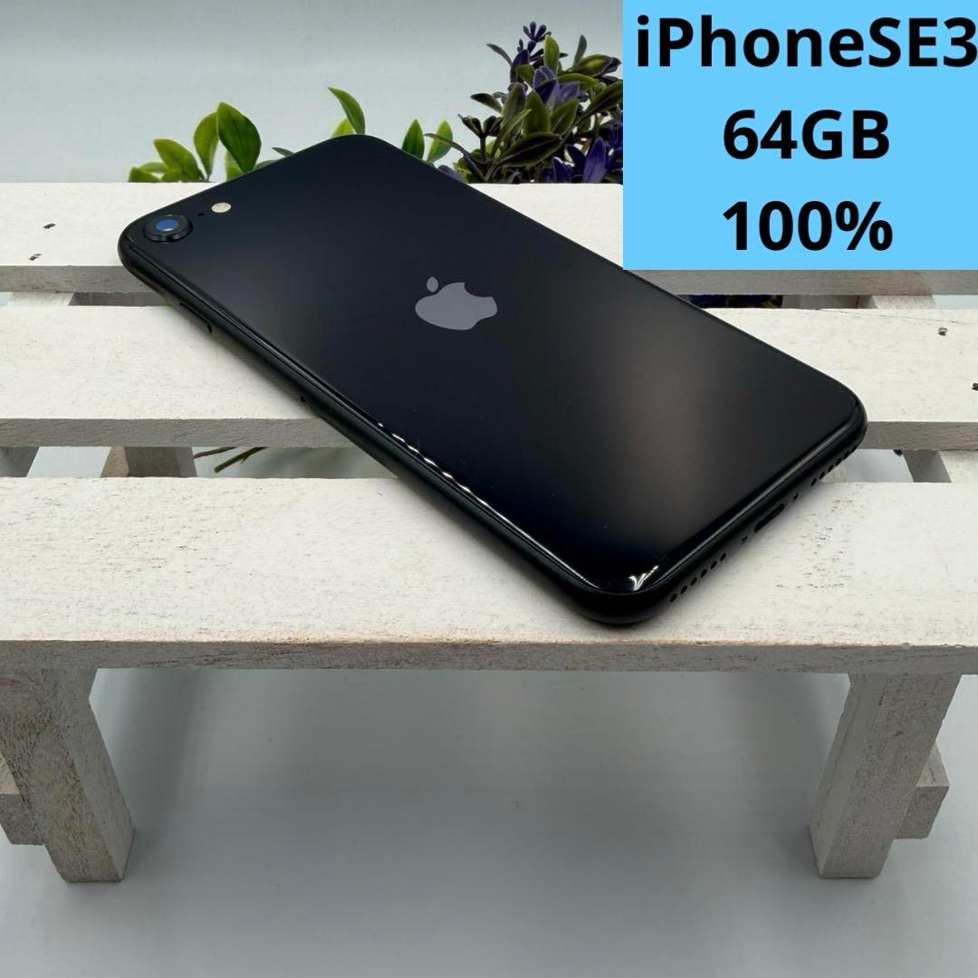 【美品】iPhone SE第3世代 64GB ミッドナイト 276
