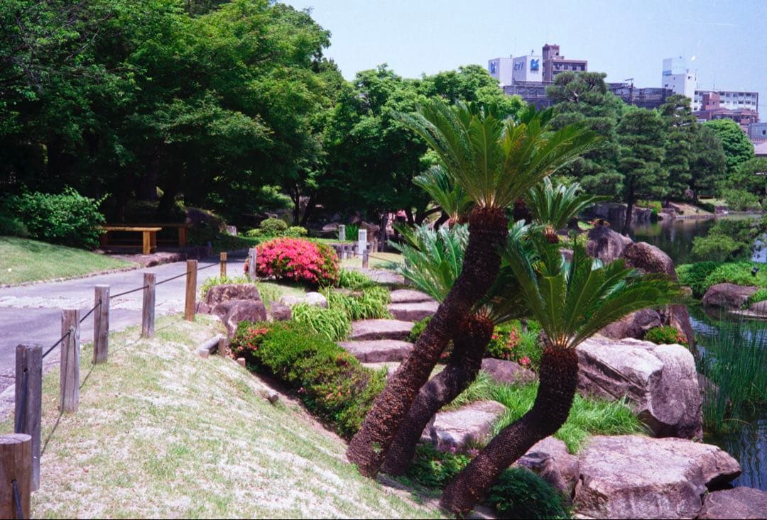 OLYMPUS 35 RC 整備、テスト撮影済み　179544