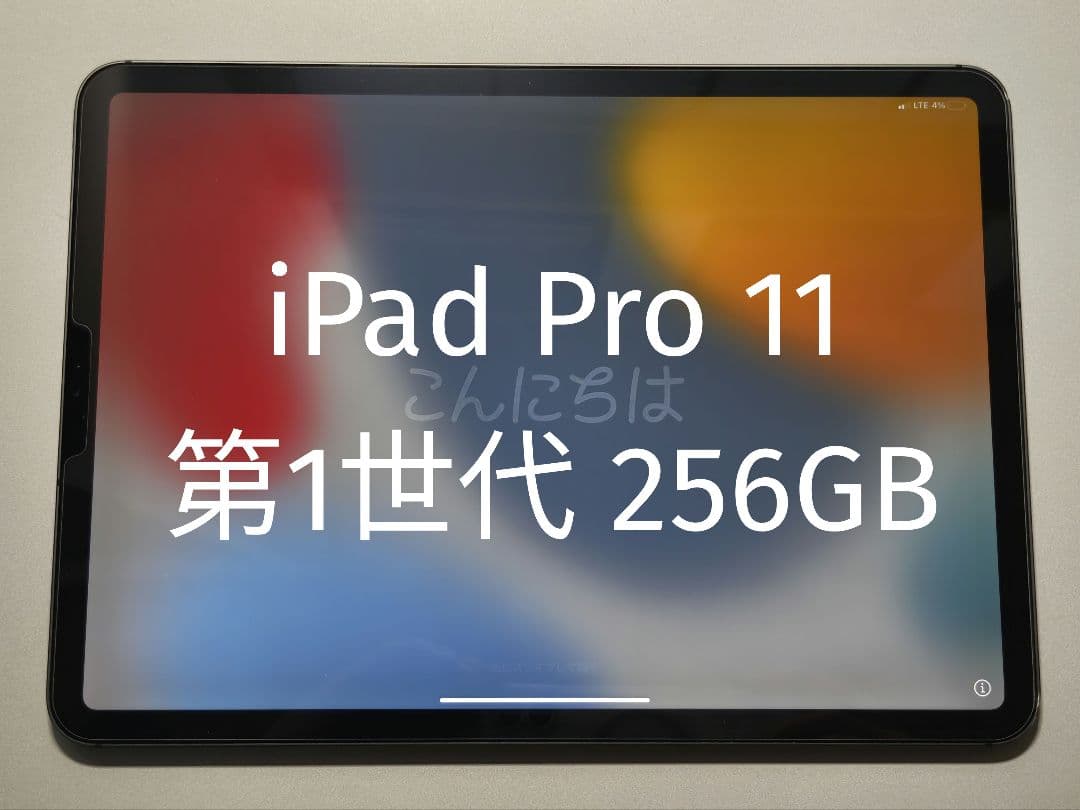 メ*ン様 iPad Pro 11インチ 256GB Wi-Fi + Cellul
