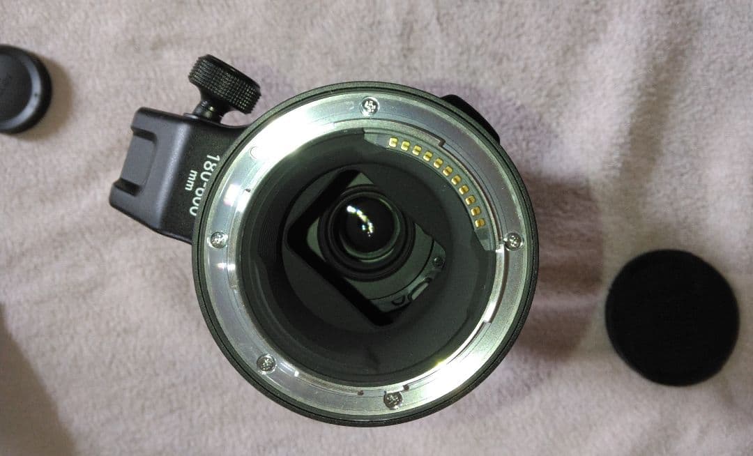NIKKOR Z 180-600mm f/5.6-6.3 VRレンズ