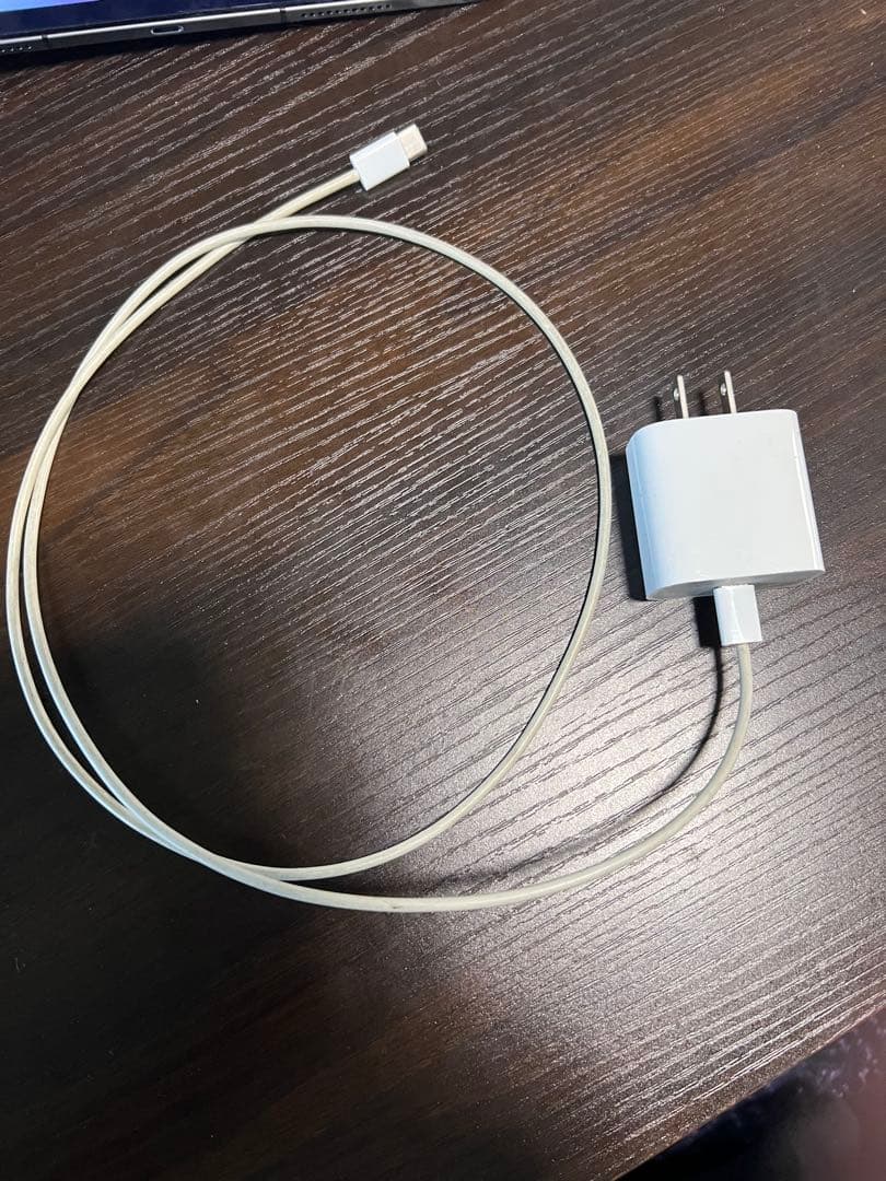 iPad Pro 12.9インチ　第4世代　256GB Airpods pro付