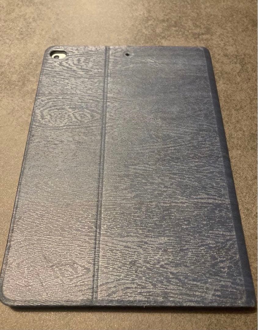 iPad Air 9.7インチ