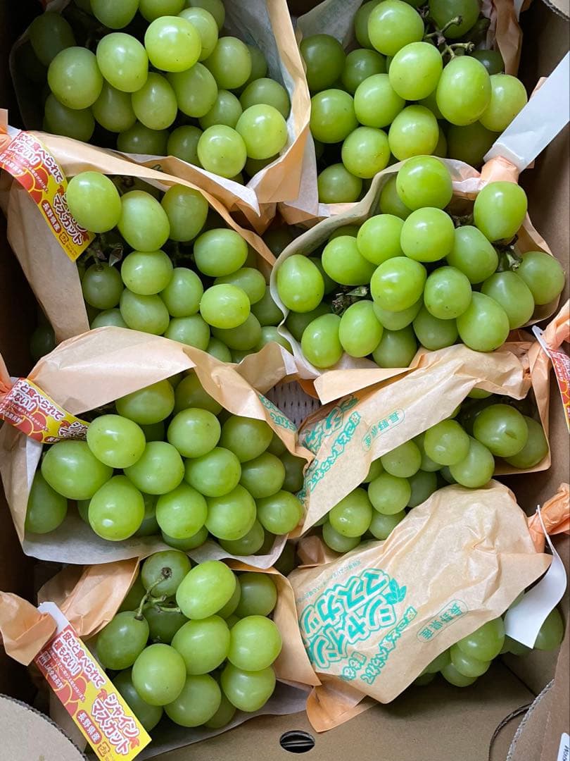 山梨県/長野県/山形県産　シャインマスカット　葡萄　ぶとう　ブトウ　箱込み5kg