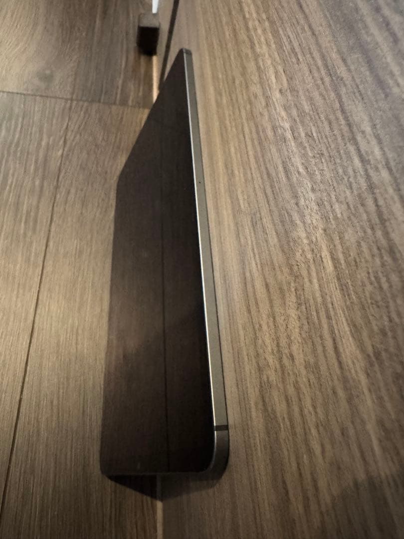 iPad Pro Wi-Fi+Cellular 11インチ(第3世代)256GB