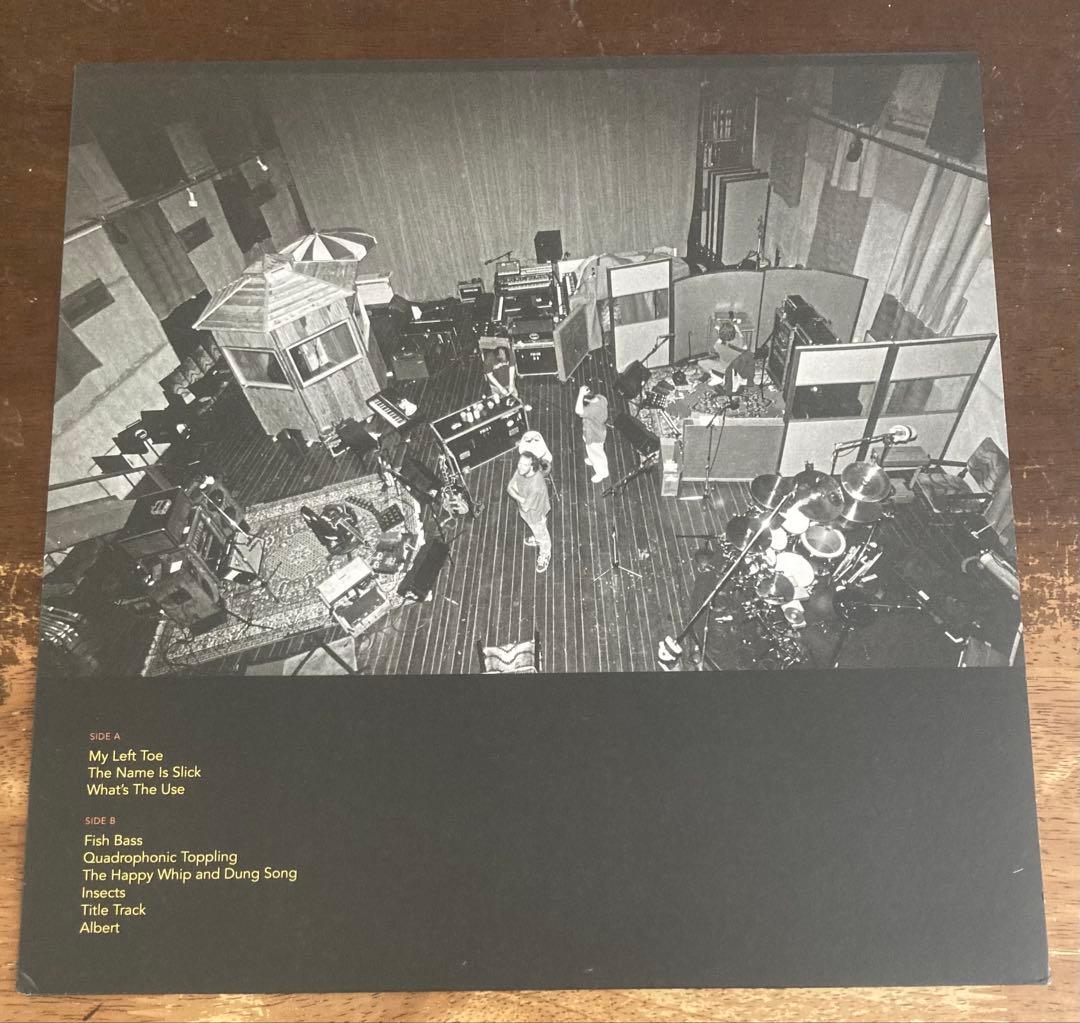 ■稀少アナログ盤■PHISH / フィッシュ■The Siket Disc■1L