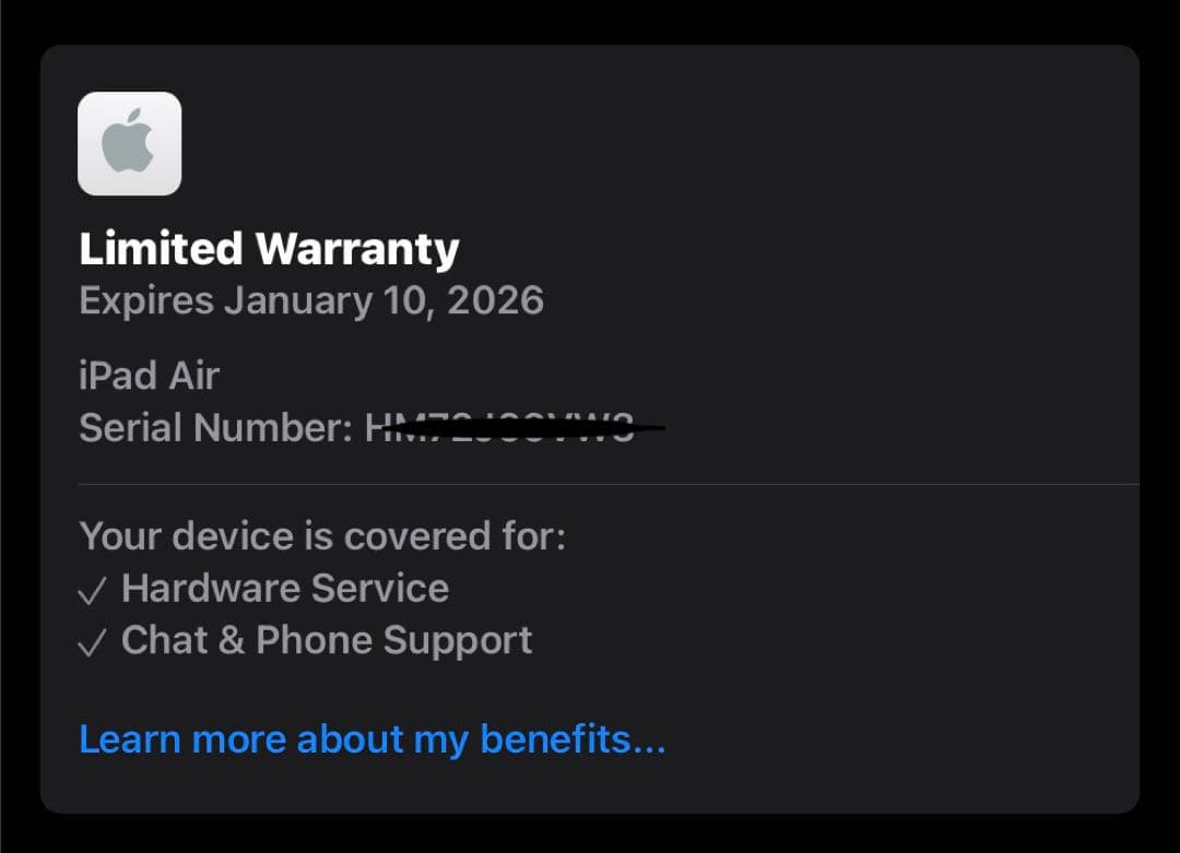iPad Air 11インチ (パープル) 本体