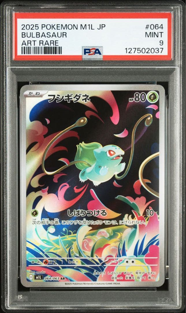 【PSA】進化ライン　3連番