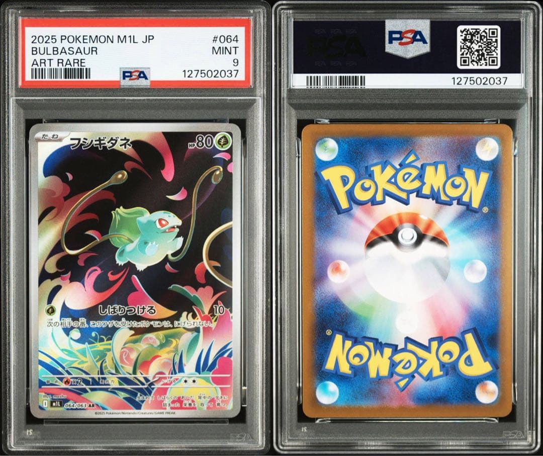 【PSA】進化ライン　3連番