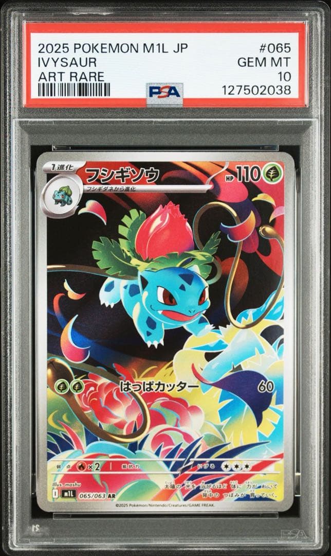 【PSA】進化ライン　3連番