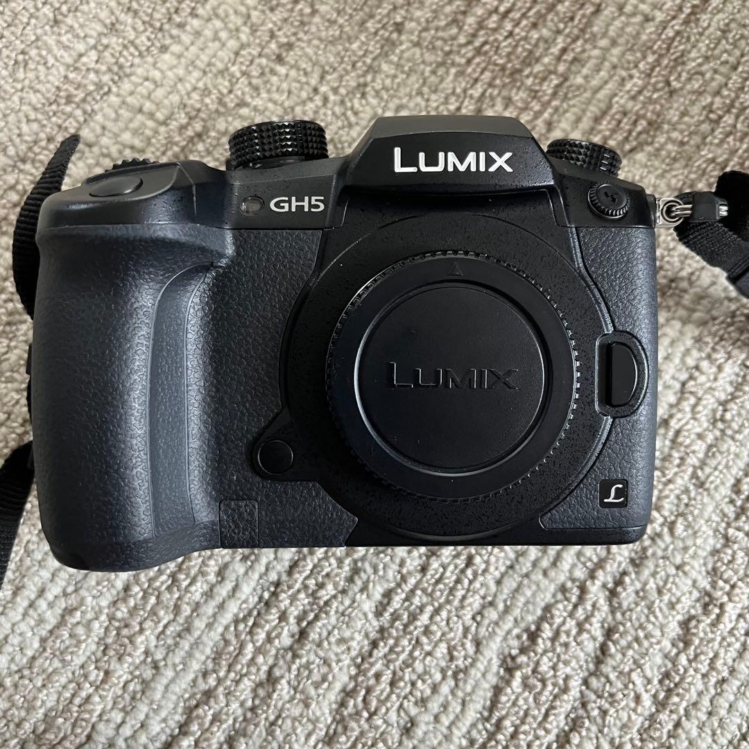 Panasonic LUMIX GH5 12-60ズームレンズセット ケース付き