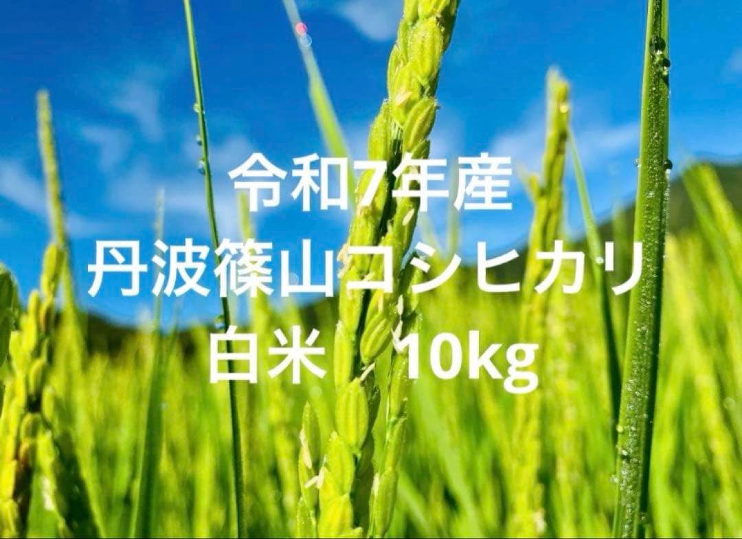 令和7年産【丹波篠山コシヒカリ】白米10kg 7年産も極上米/食味値87点