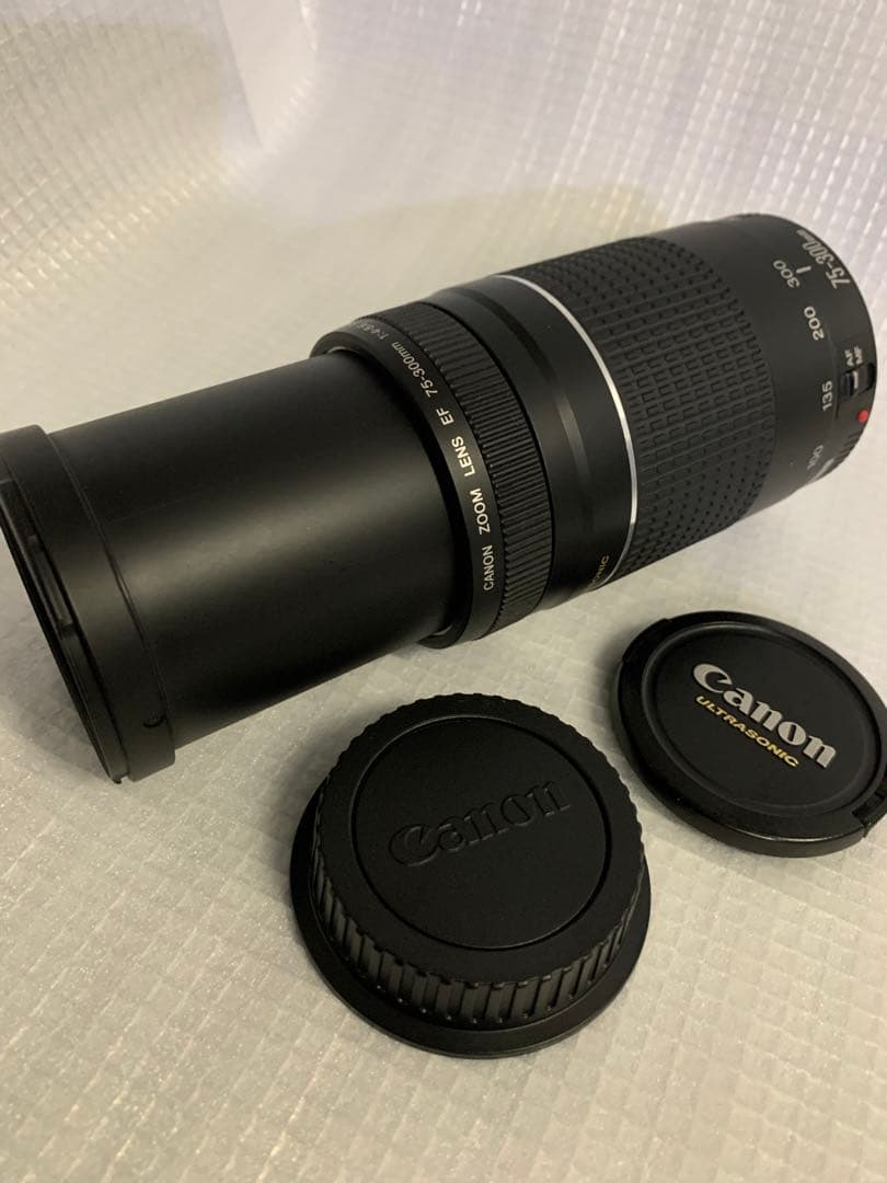 ⭐️極美品⭐️ Canon EF 75-300mm F4-5.6 III 望遠レンズ