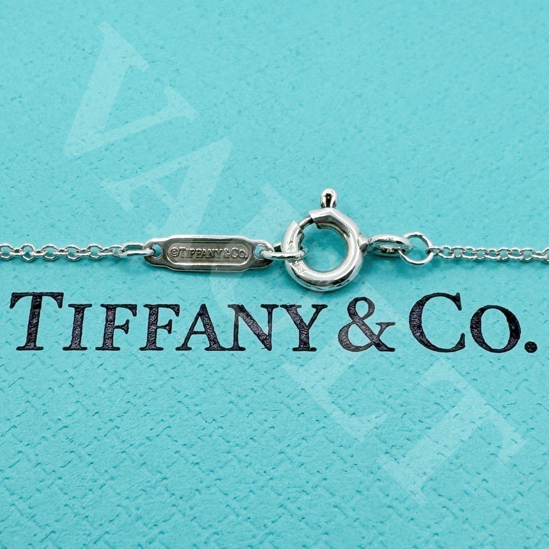 TIFFANY&Co.極美品 アトラスサークル メダリオンネックレス Ag925
