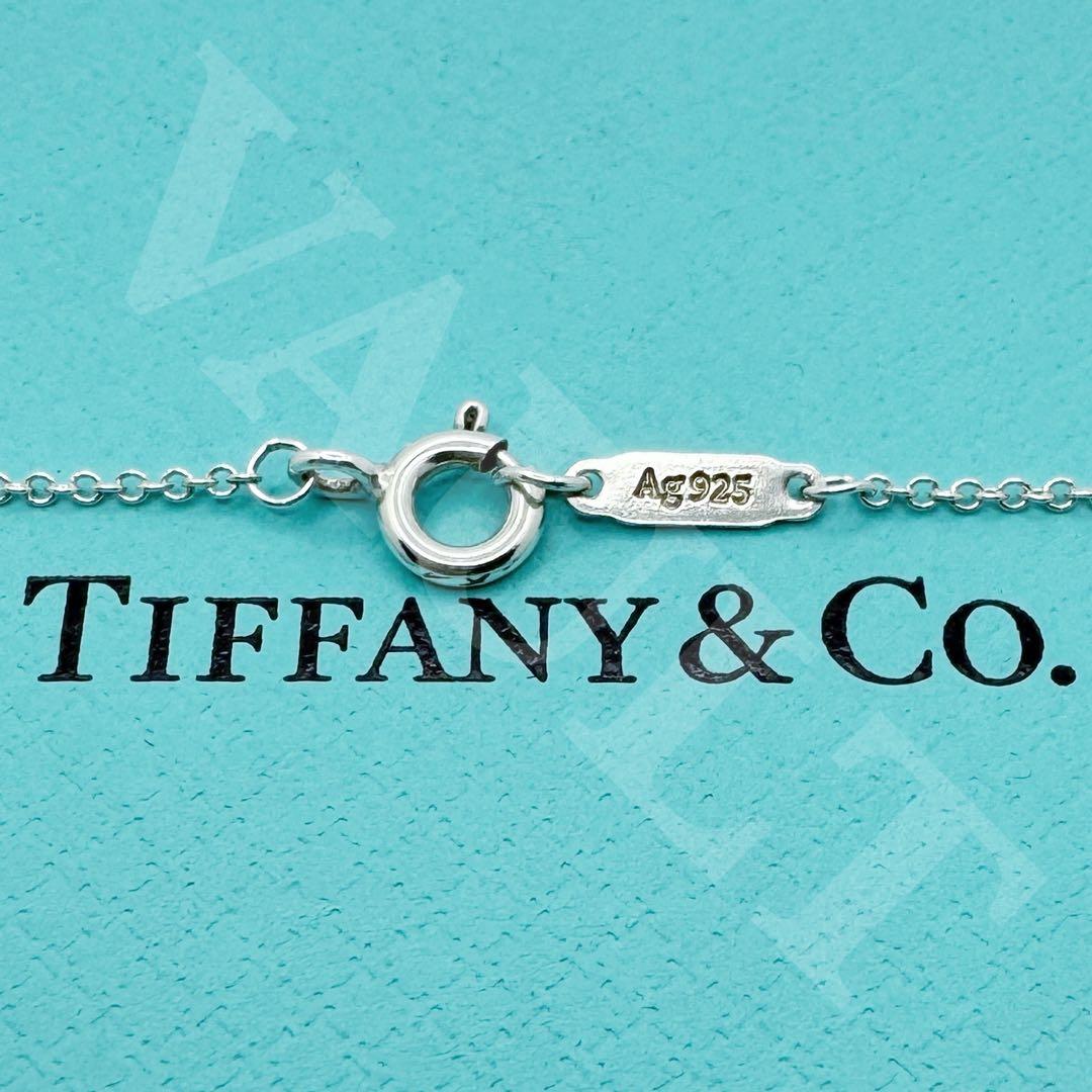 TIFFANY&Co.極美品 アトラスサークル メダリオンネックレス Ag925