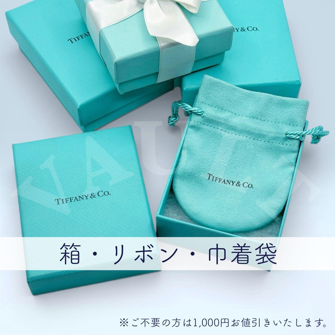 TIFFANY&Co.極美品 アトラスサークル メダリオンネックレス Ag925