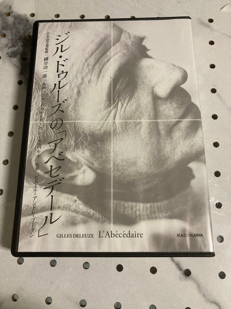 シルドゥルースの「アベセデール」　DVD 國分功一郎監修