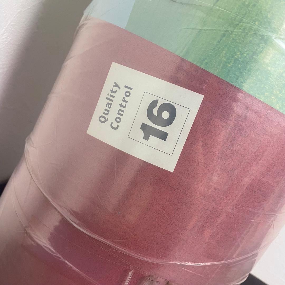 新品 magniflexマニフレックス トスカーナ・ウィング シングルマットレス