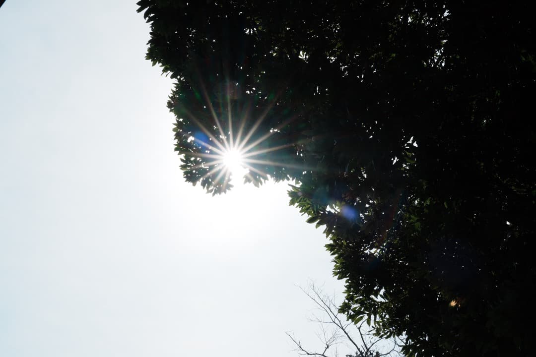 【美品】Tamron 28-75mm F2.8 Di III RXD ソニーE用