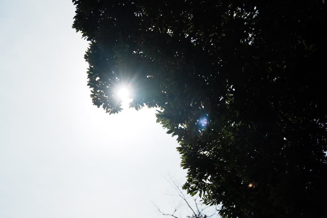 【美品】Tamron 28-75mm F2.8 Di III RXD ソニーE用