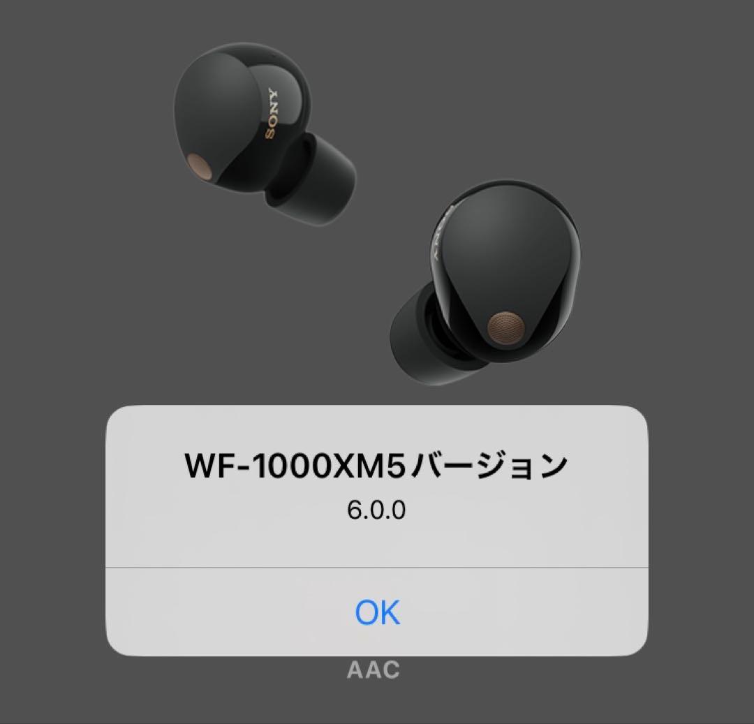 【美品】sony wf-1000xm5【左イヤホン・ブラック】ver6.0.0
