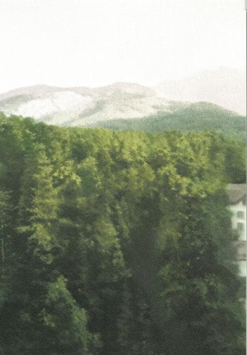 限定マット額装品/ゲルハルト・リヒター/Waldhaus(890-1)/アート