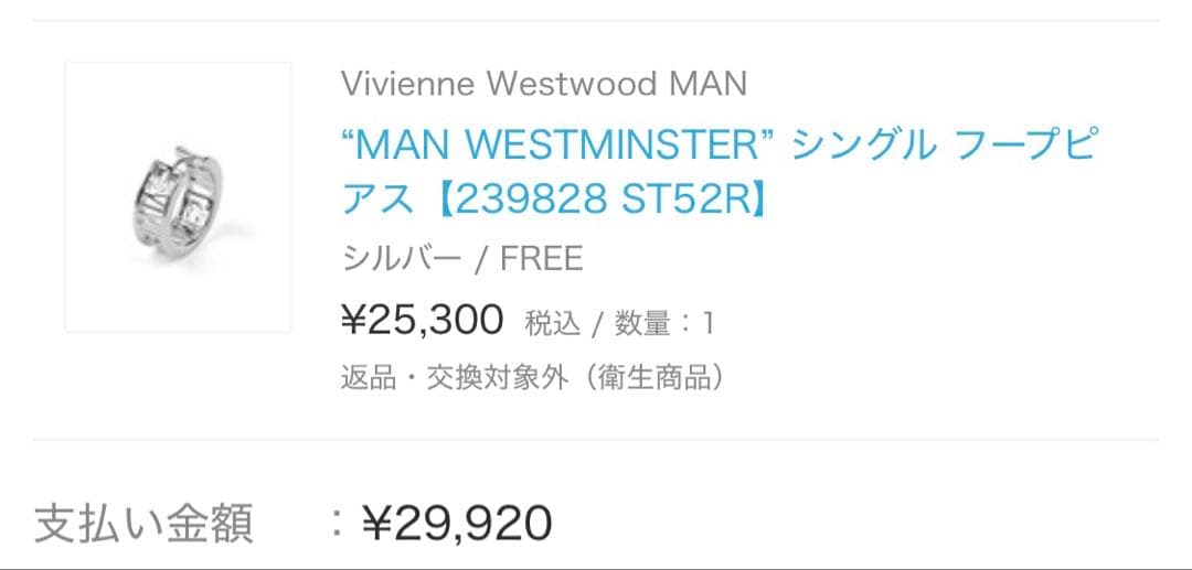 Vivienne Westwood ウエストミンスターシングルフープピアス