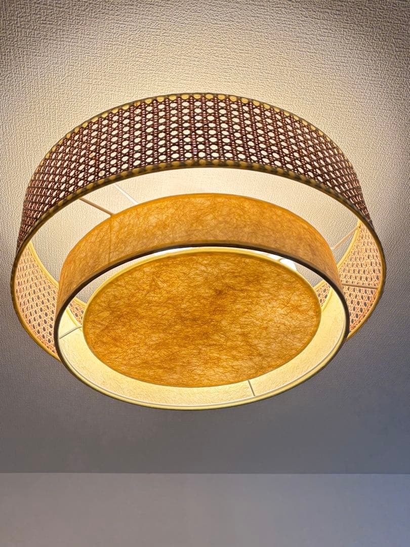 シーリングライト・天井照明 DAFNE CEILING LAMP