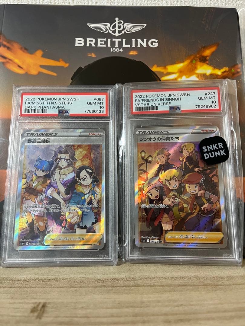 ポケモンカード PSA10 野盗三姉妹 & シンオウの仲間たち