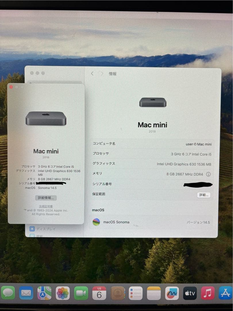 最終値下げMac mini 2018 + Magic Trackpad セット