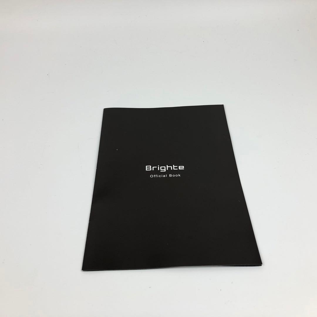 【新品】Brighte BRT-SD173 ブライト シャワードライヤー セット