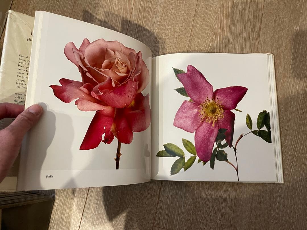 Irving Penn Flowers アーヴィングペン フラワーズ 写真集
